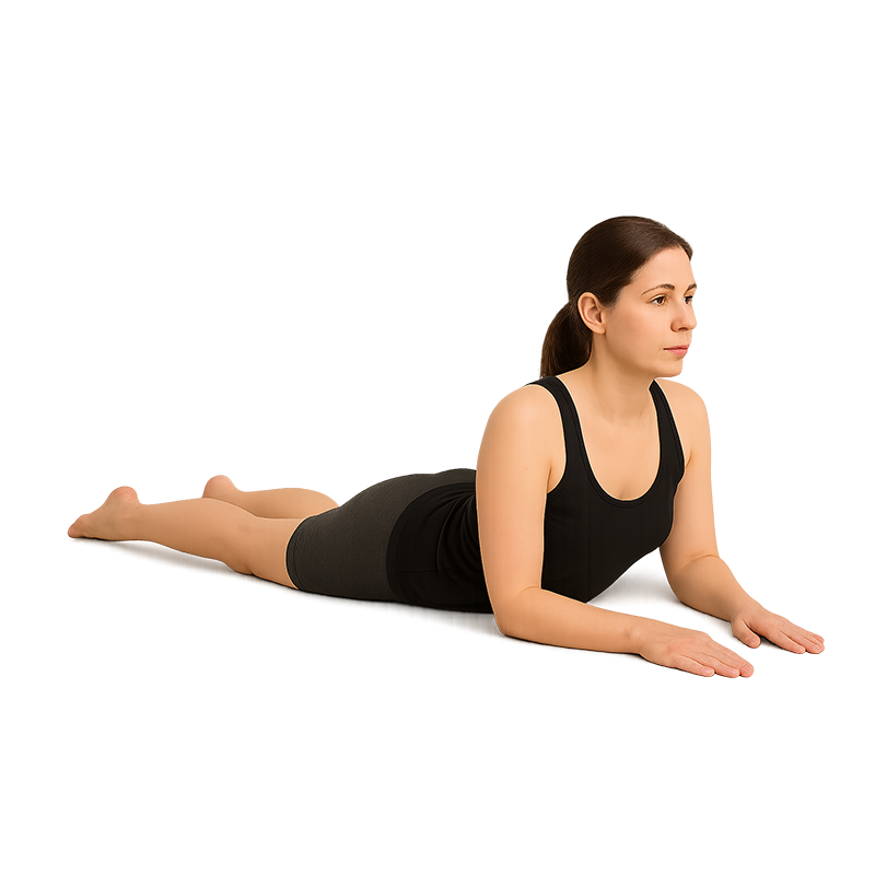 腰痛・頭痛・猫背などの改善を目指すヨガ